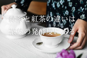 緑茶と紅茶の違いは茶葉の発酵度にある