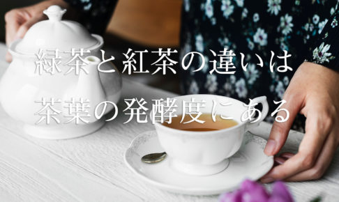 緑茶と紅茶の違いは茶葉の発酵度にある
