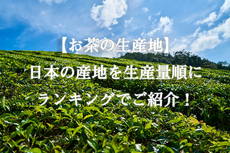 【お茶の生産地】日本の産地を生産量順にランキングでご紹介！